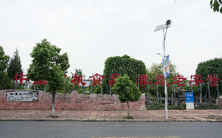 當(dāng)定制葛粉時(shí)，我們真正在選擇什么？