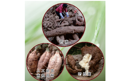 買(mǎi)葛粉是買(mǎi)野生的好？還是野生有機(jī)的好？