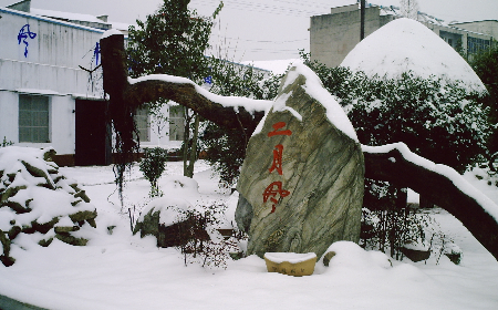 二月風(fēng)致老友：一碗葛根粉的牽掛，農(nóng)博會(huì)上的重逢之約二月風(fēng)盼老友：農(nóng)博會(huì)上，再續(xù)葛粉情緣